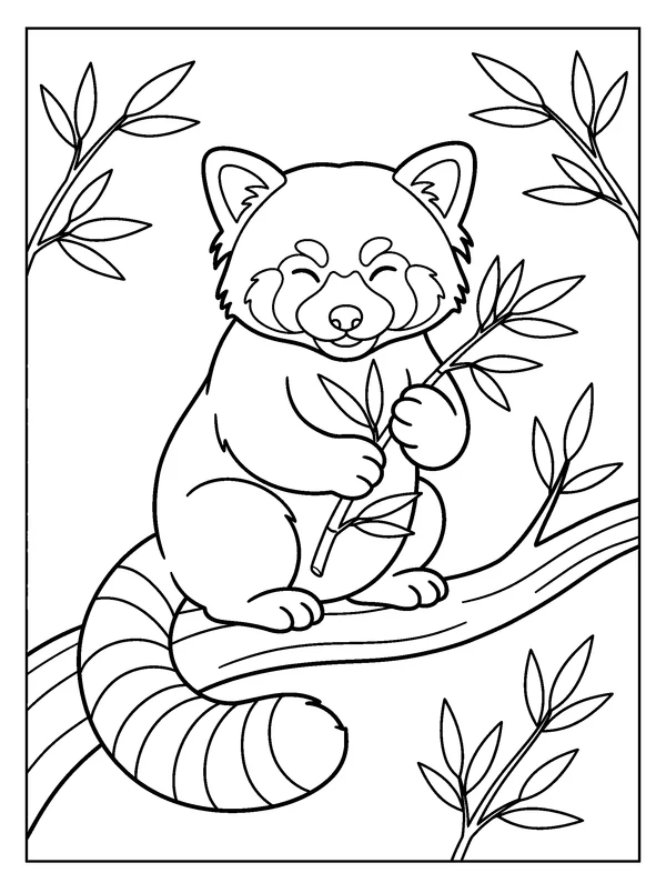 Red Panda in Bamboo — printable black-and-white coloring sheet