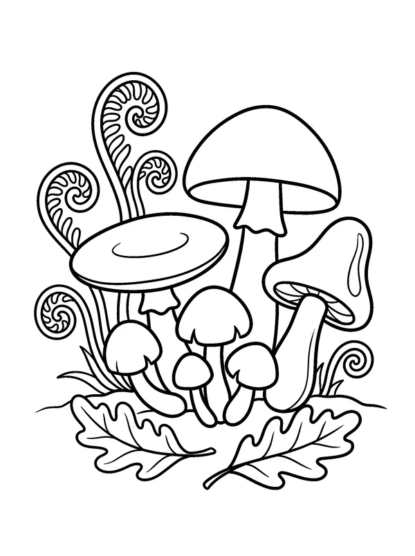Mushroom Cluster and Ferns — printable black-and-white coloring sheet