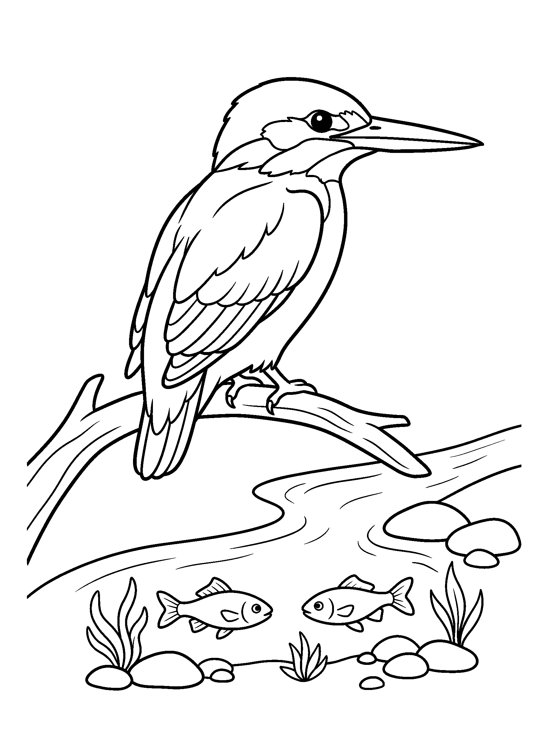 Martin-pêcheur au-dessus du ruisseau — page à colorier imprimable en noir et blanc