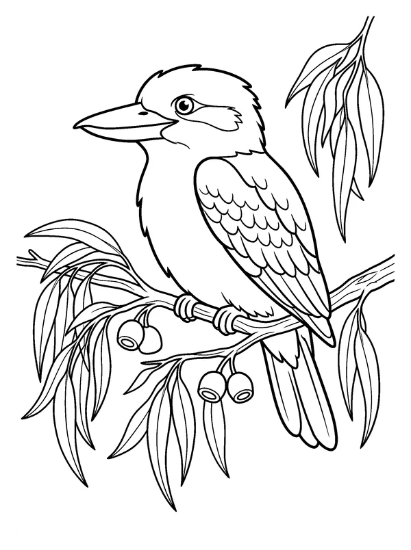 Kookaburra in Eucalyptus — printable black-and-white coloring sheet