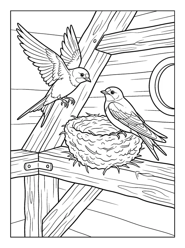 Swallows at the Barn Ledge — printable black-and-white coloring sheet