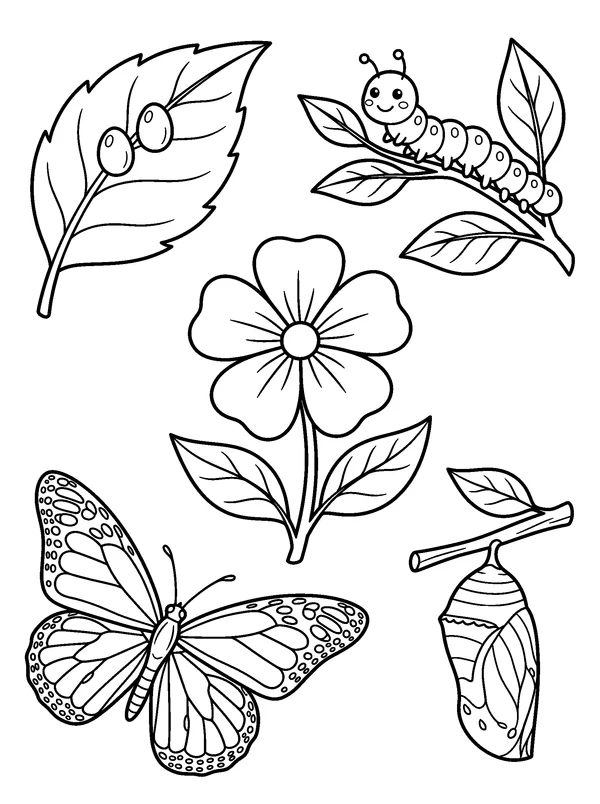 Butterfly Garden Journey — printable black-and-white coloring sheet