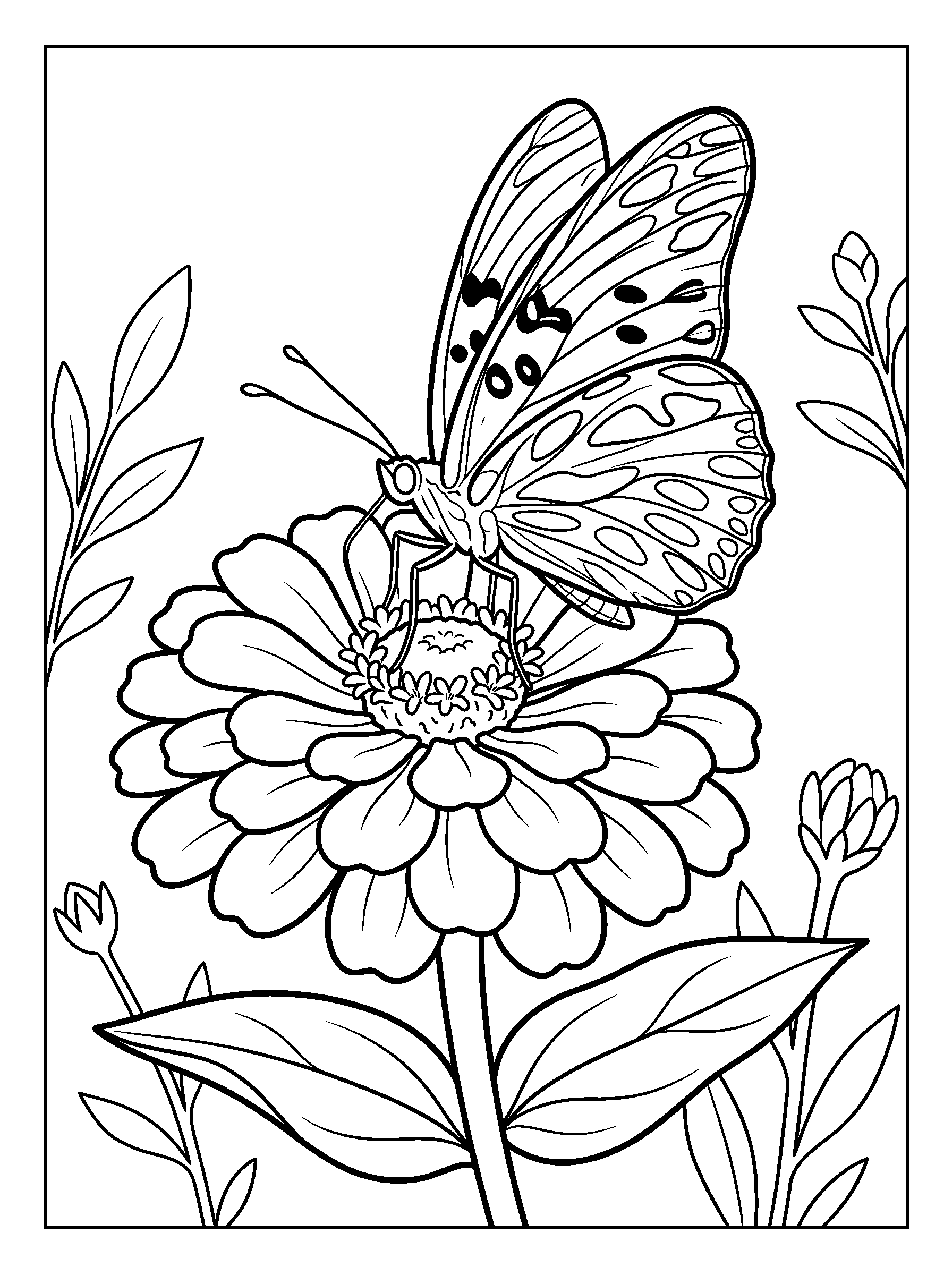 Fritillary and Zinnia — full black-and-white printable coloring page