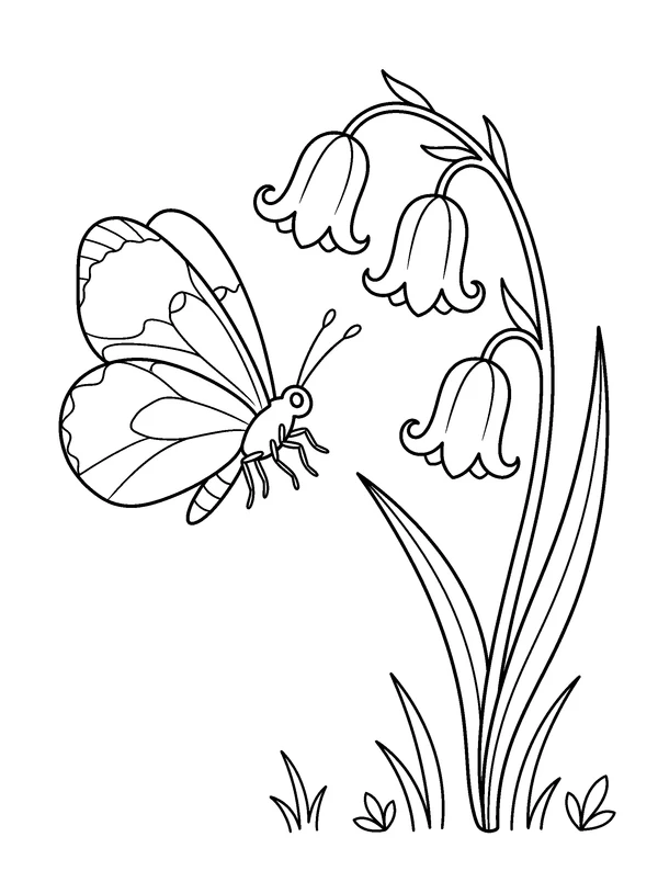 Orange Tip and Bluebells — printable black-and-white coloring sheet