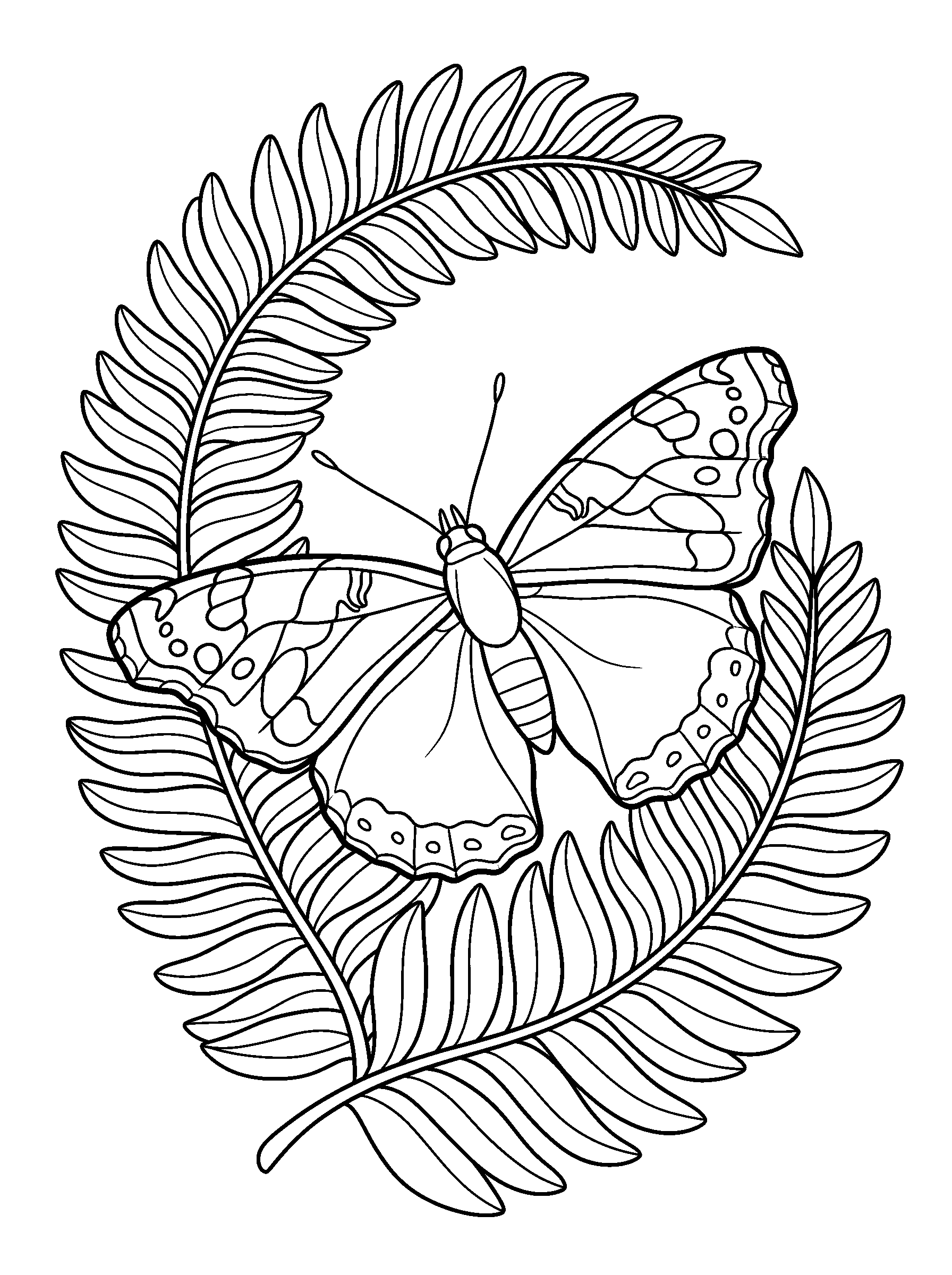 Admiral in the Ferns — full black-and-white printable coloring page