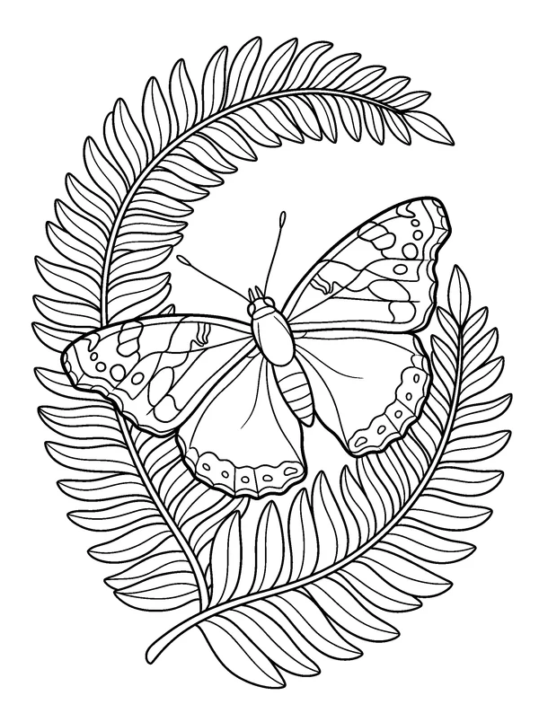 Admiral in the Ferns — printable black-and-white coloring sheet