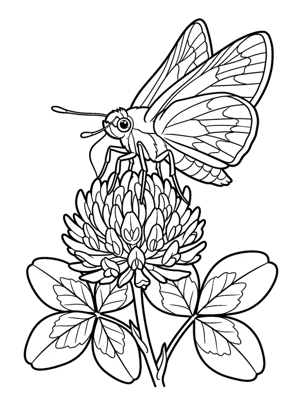 Skipper in the Clover — printable black-and-white coloring sheet