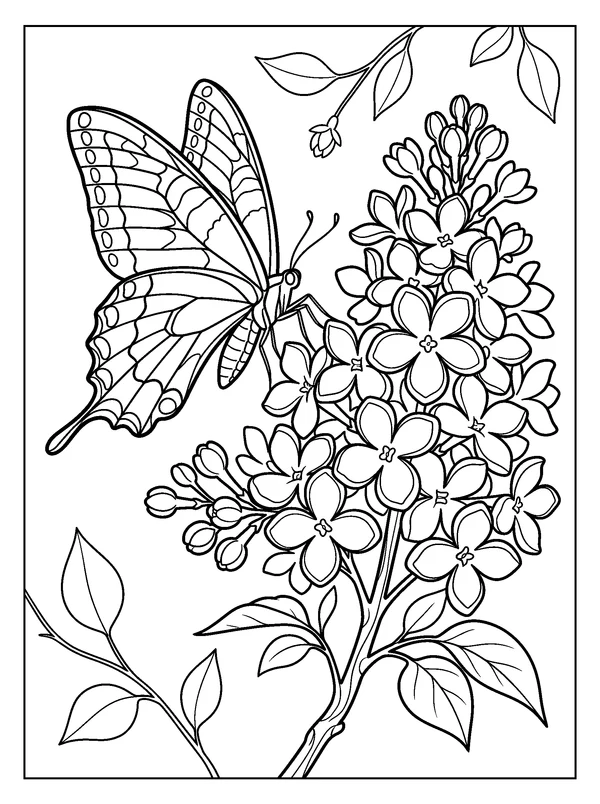 Swallowtail and Lilacs — printable black-and-white coloring sheet