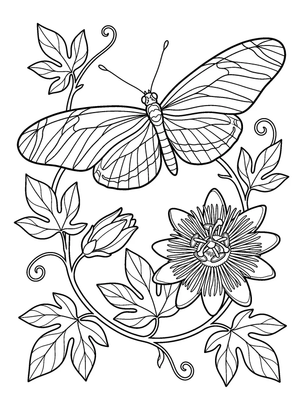 Longwing Butterfly on a Vine — printable black-and-white coloring sheet