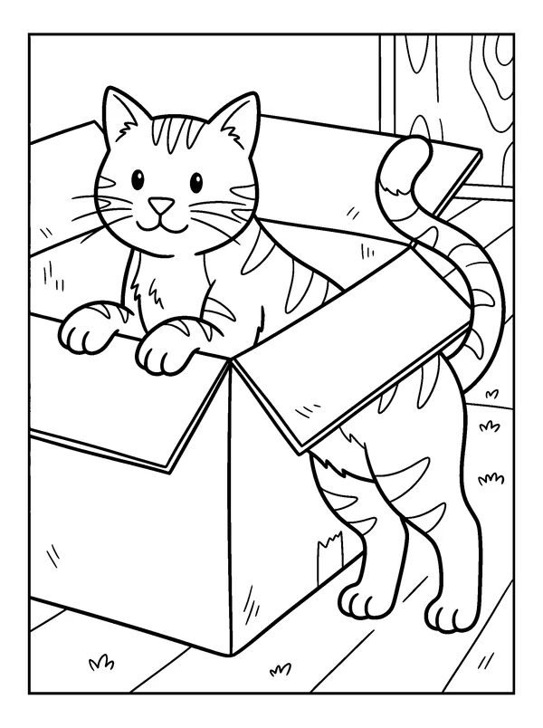 Cardboard Box Explorer — printable black-and-white coloring sheet