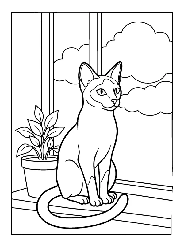 Siamese at the Window — printable black-and-white coloring sheet