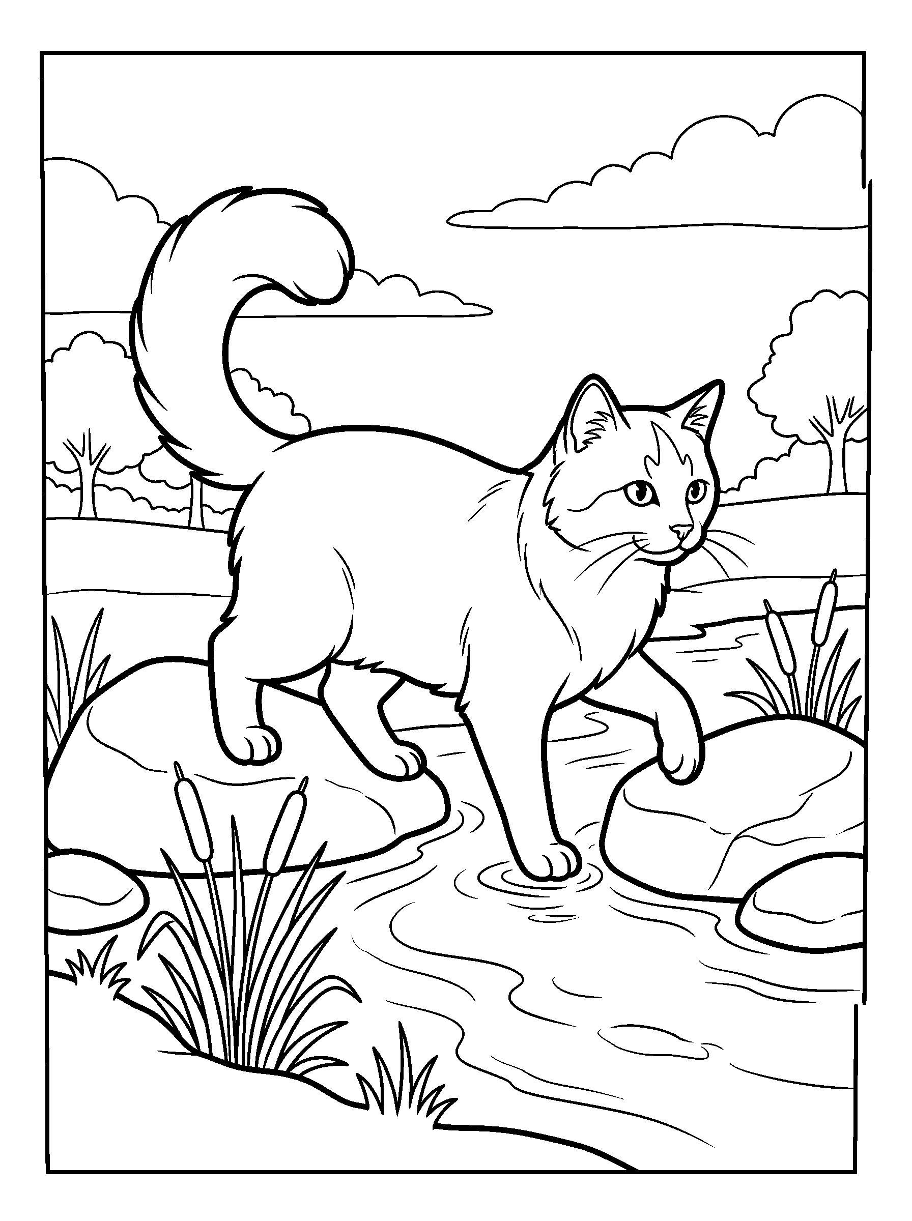 Cat by the Stream — full black-and-white printable coloring page