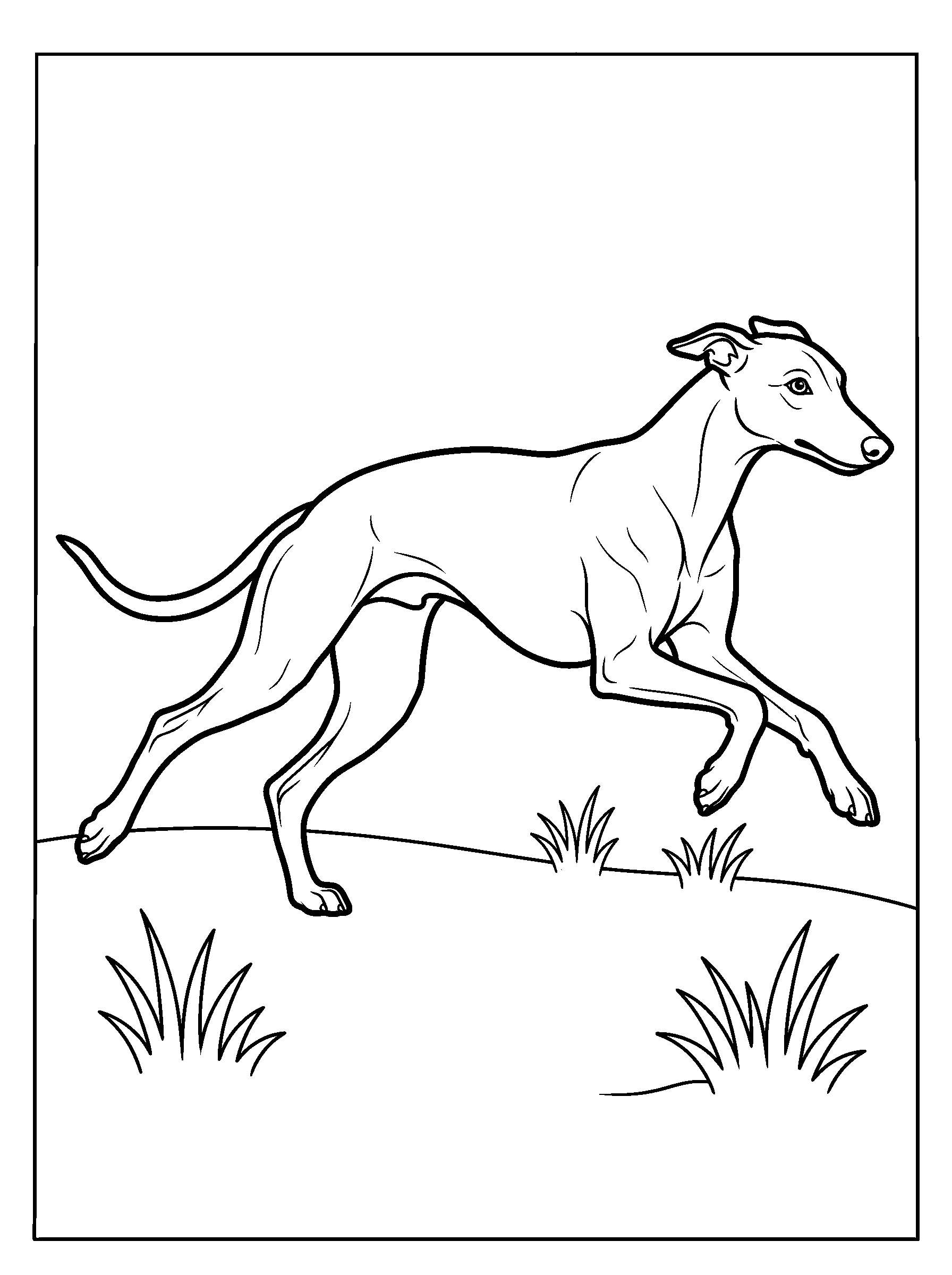 Greyhound Meadow Run — full black-and-white printable coloring page