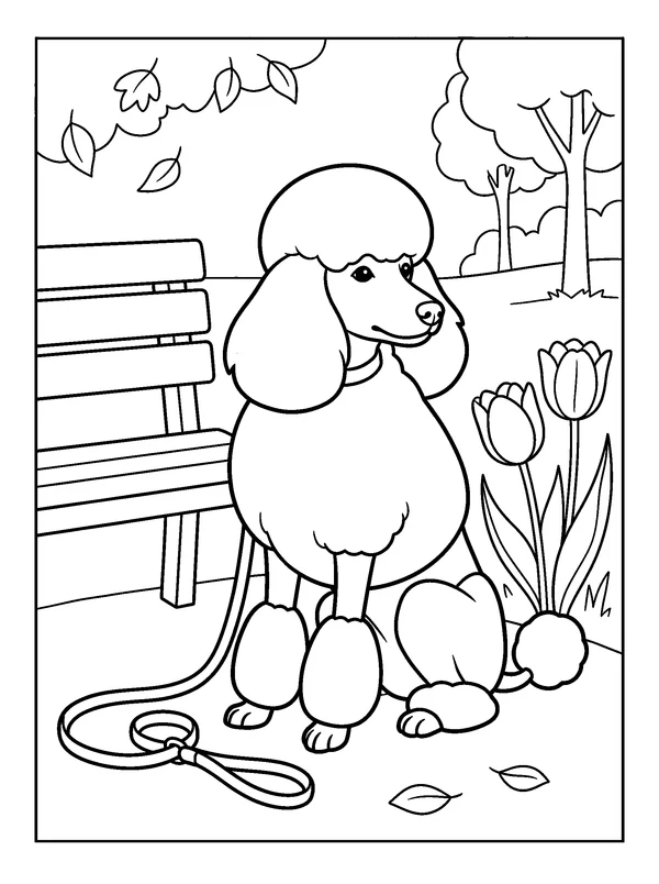 Poodle at the Park — printable black-and-white coloring sheet