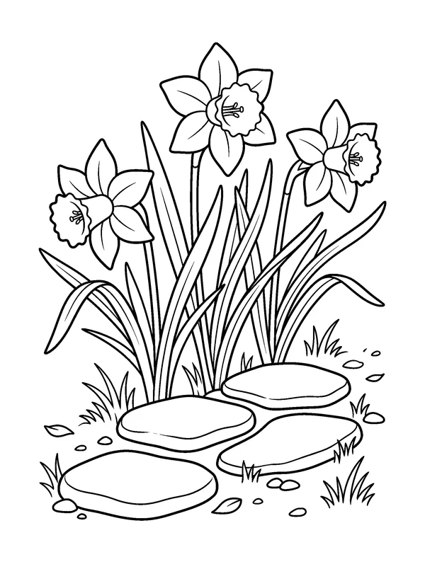 Daffodil Garden Path — printable black-and-white coloring sheet