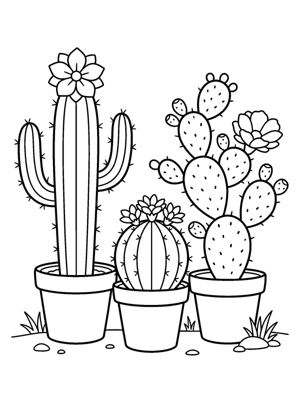 Flowering Cactus Trio — printable black-and-white coloring sheet