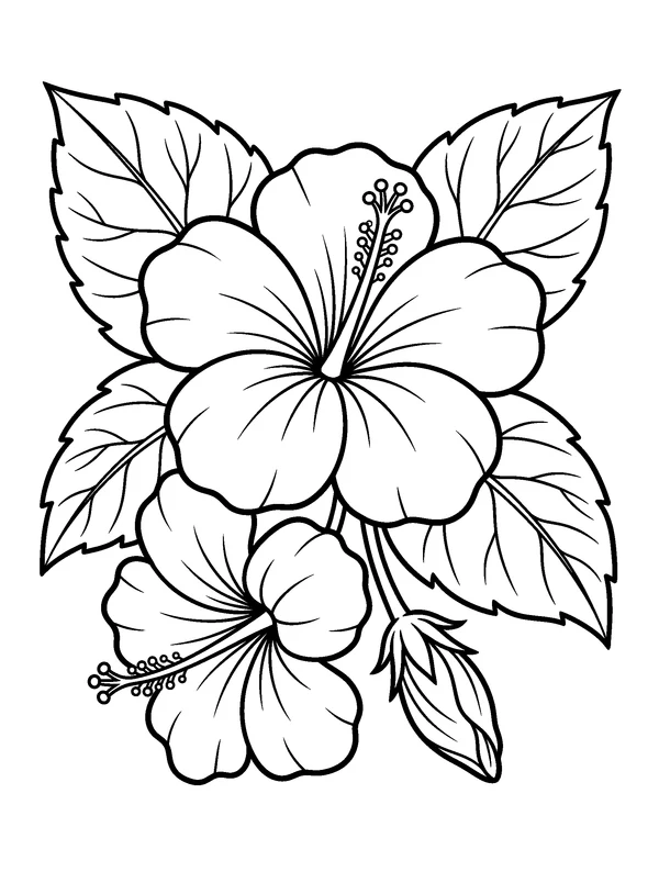 Tropical Hibiscus — printable black-and-white coloring sheet