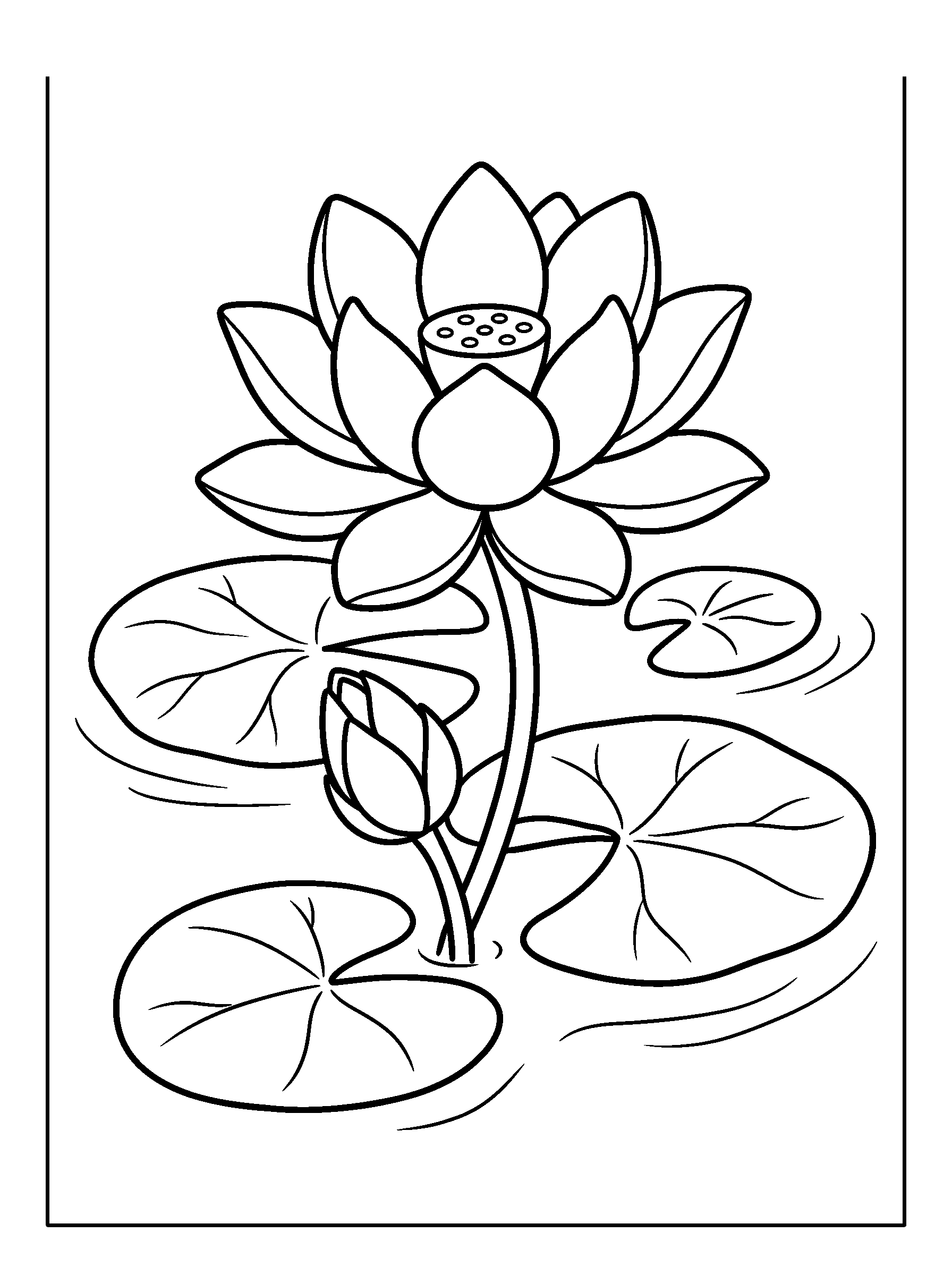 Lotus Pond — full black-and-white printable coloring page