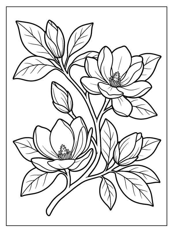 Magnolia Branch — printable black-and-white coloring sheet