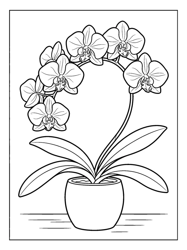 Arching Orchid — printable black-and-white coloring sheet