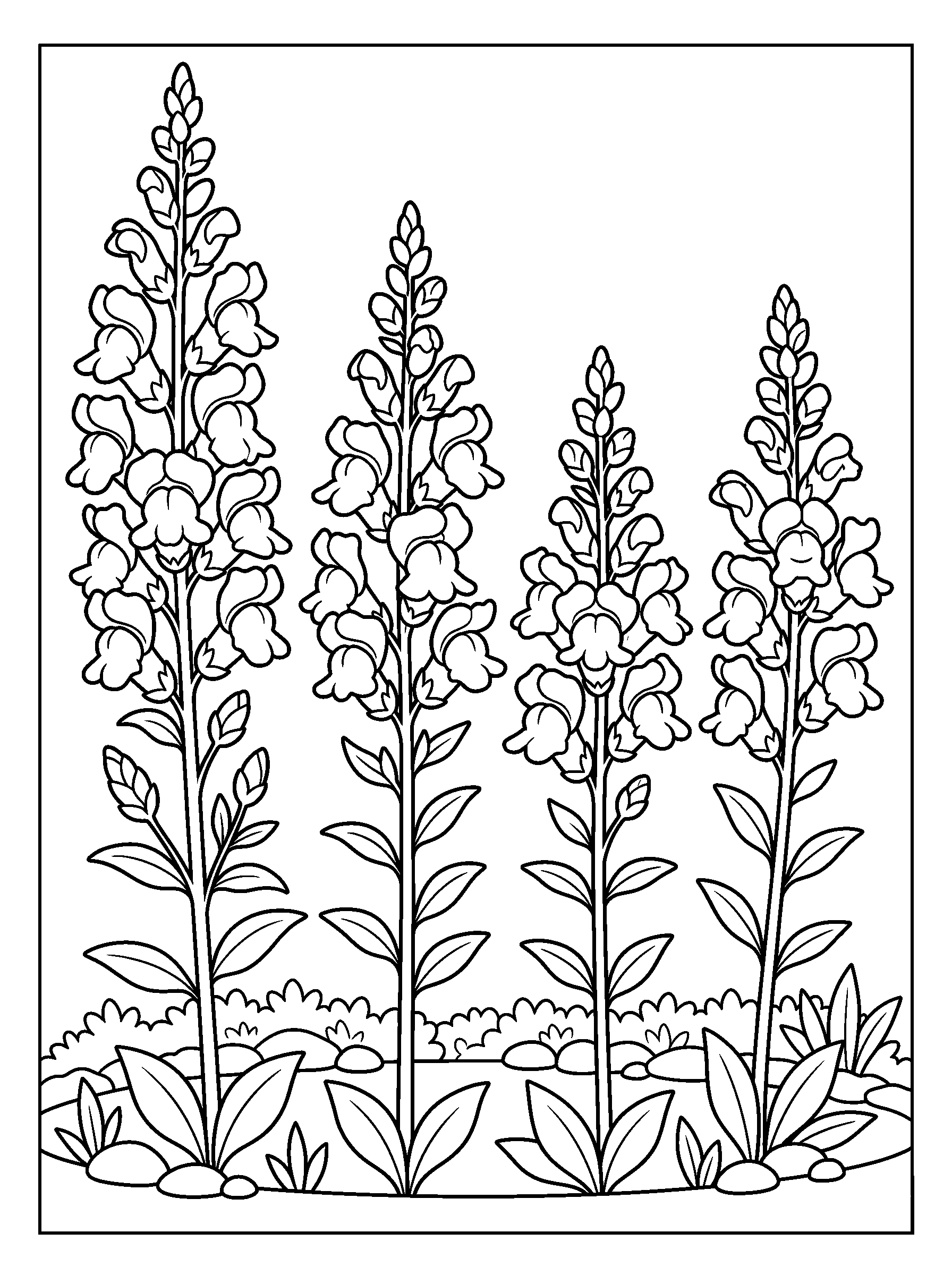 Snapdragon Garden Border — full black-and-white printable coloring page