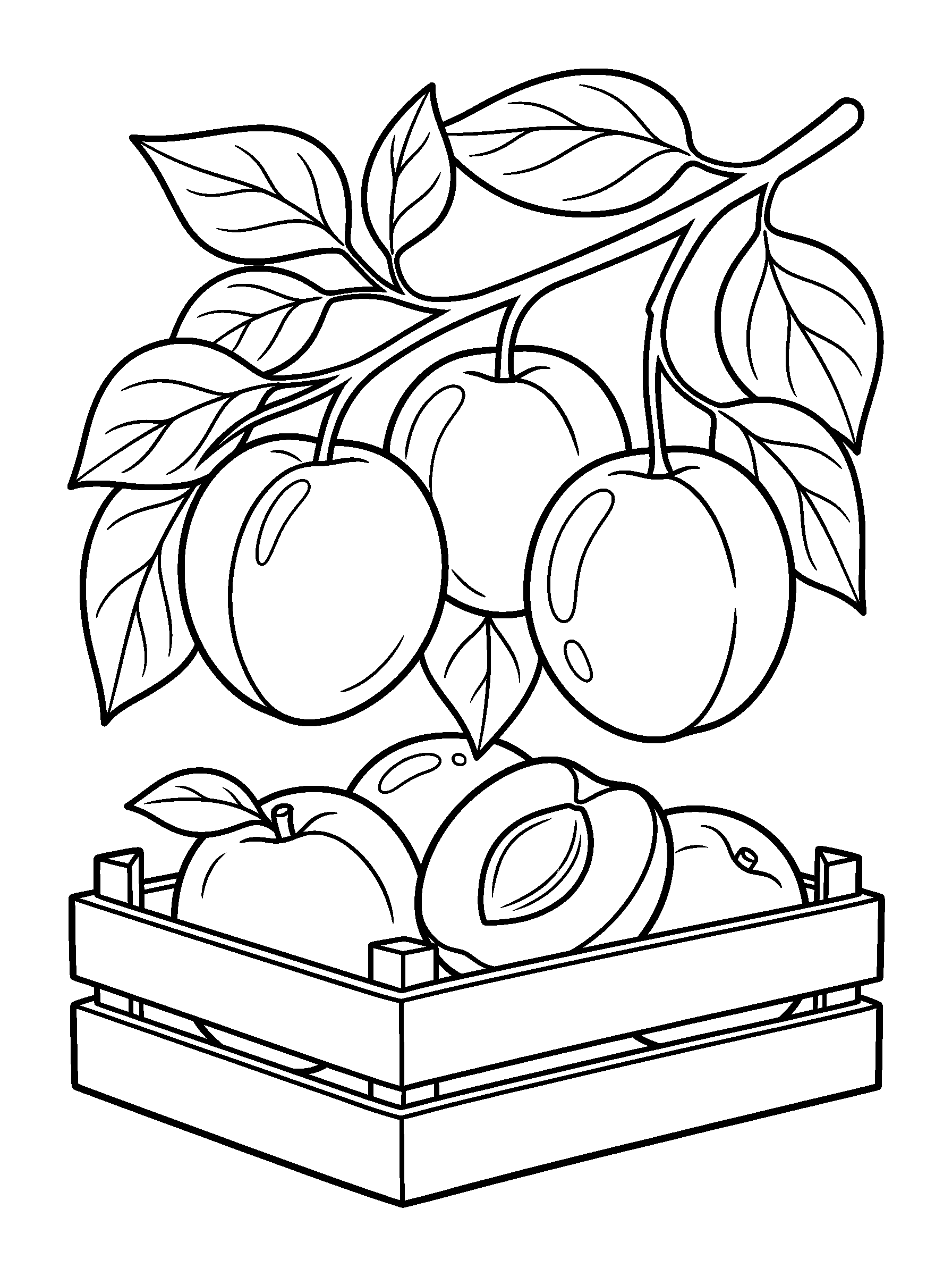 Apricot Orchard — full black-and-white printable coloring page