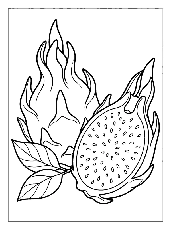 Dragon Fruit — printable black-and-white coloring sheet