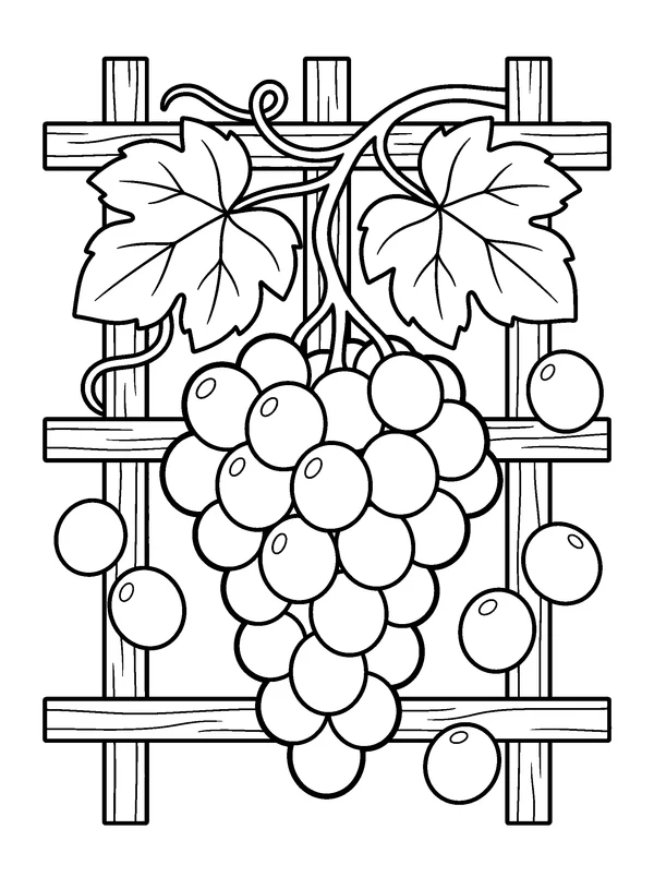 Grape Vine — printable black-and-white coloring sheet