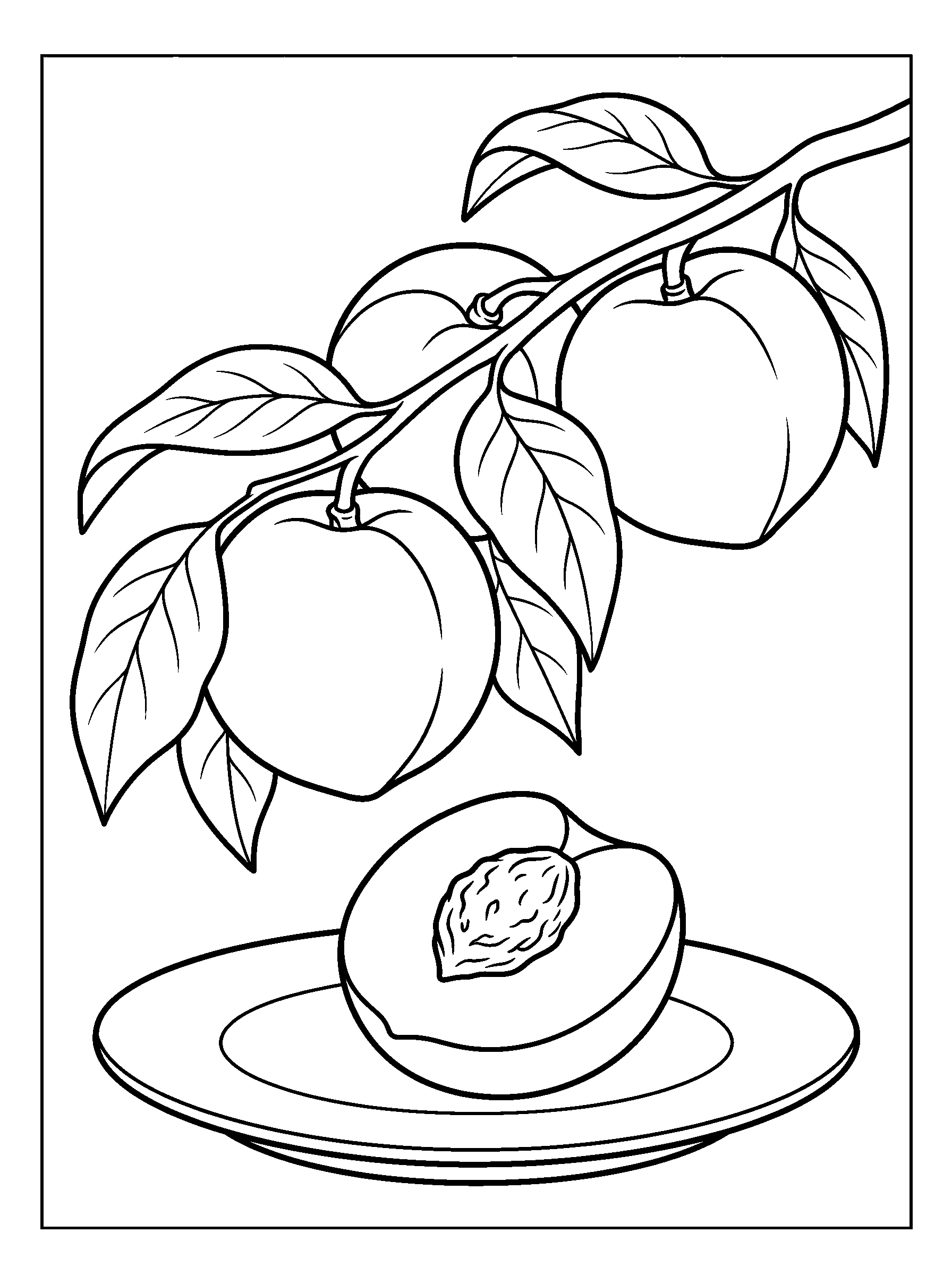 Peach Branch — full black-and-white printable coloring page