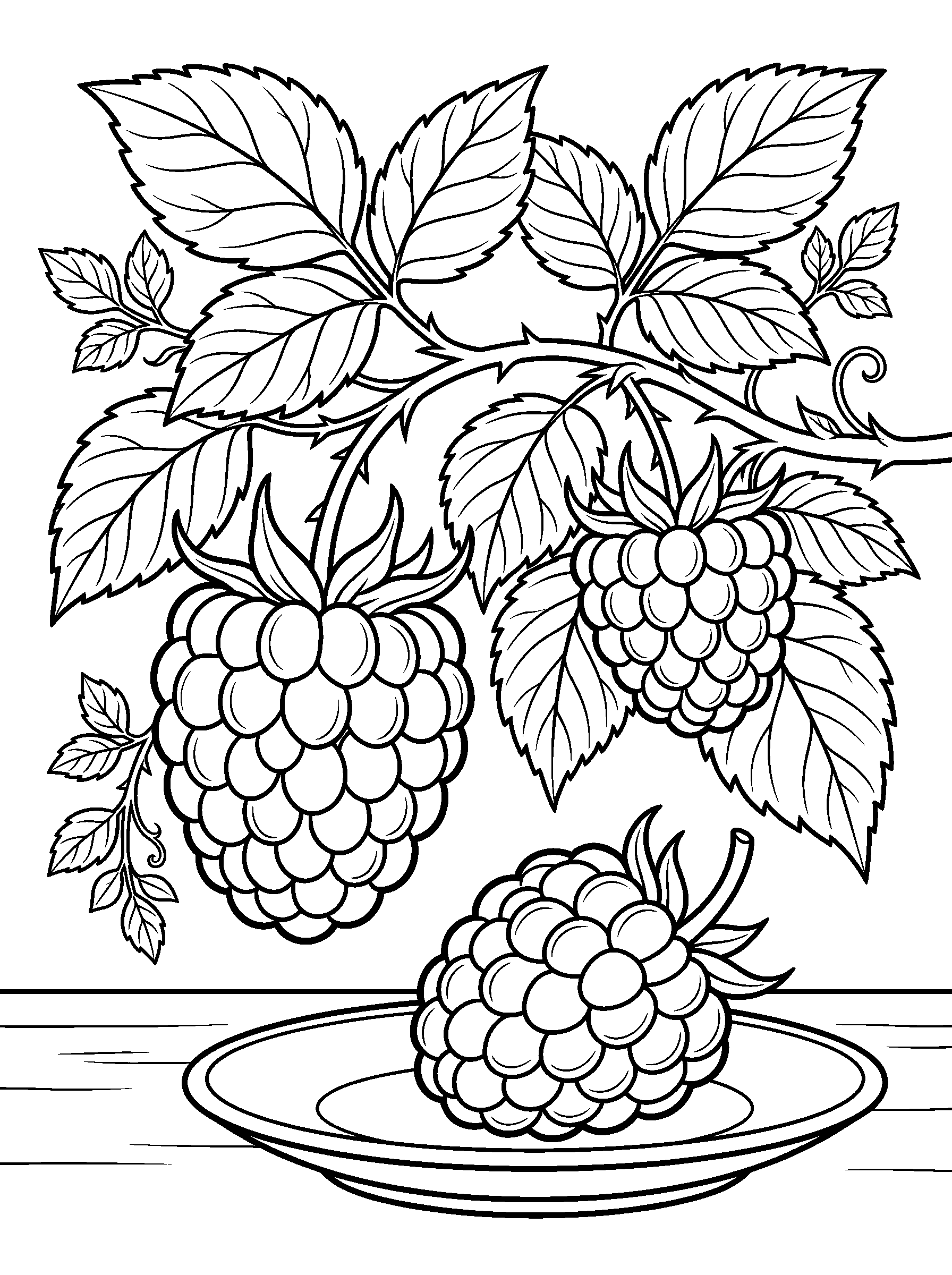 Raspberry Branch — full black-and-white printable coloring page