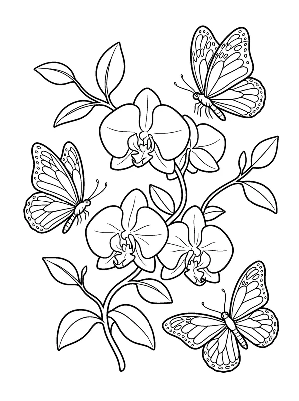 Butterflies Around an Orchid Vine — printable black-and-white coloring sheet