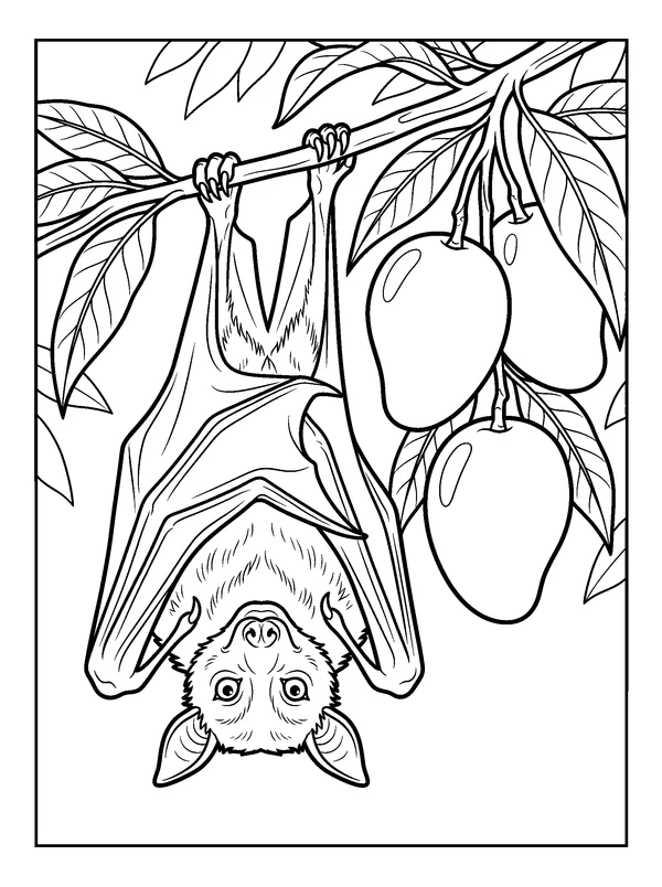 Fruit Bat with Hanging Mangoes — printable black-and-white coloring sheet