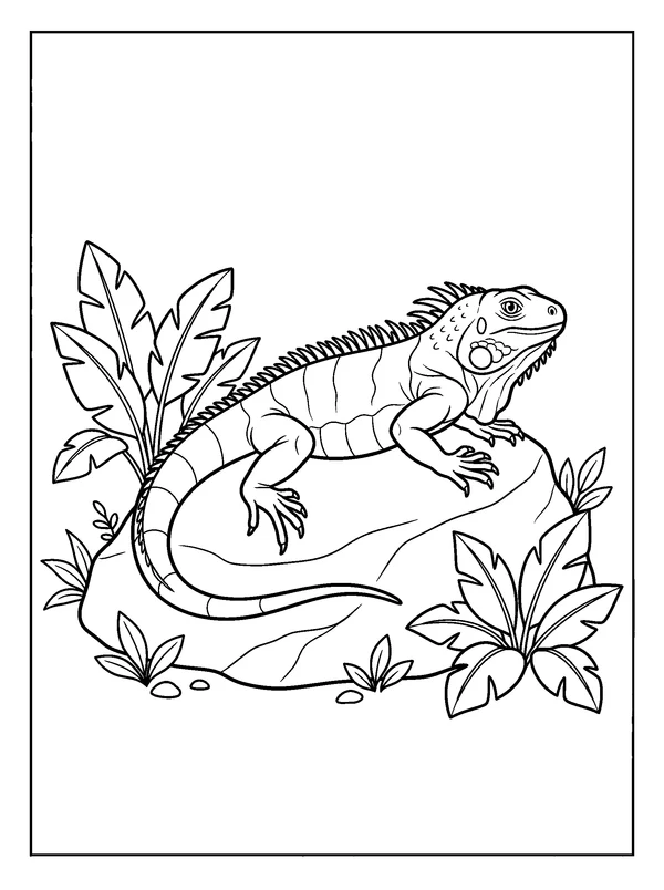 Iguana on a Sunlit Rock — printable black-and-white coloring sheet