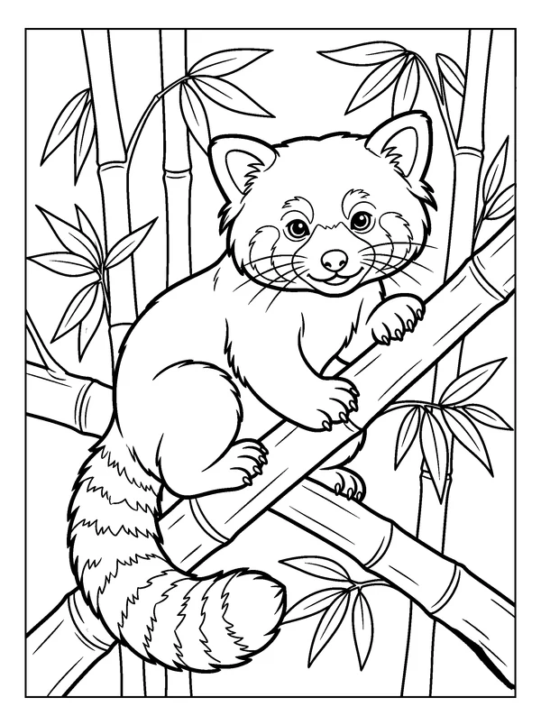 Red Panda in the Bamboo — printable black-and-white coloring sheet