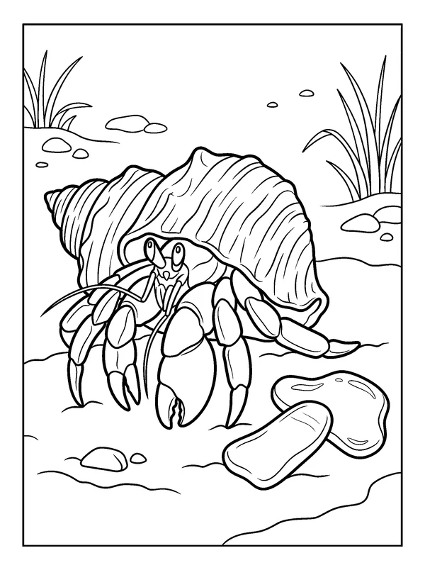 Hermit Crab Home — printable black-and-white coloring sheet