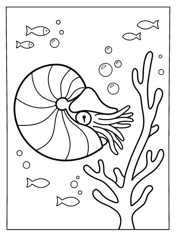 Nautilus Spiral — printable black-and-white coloring sheet