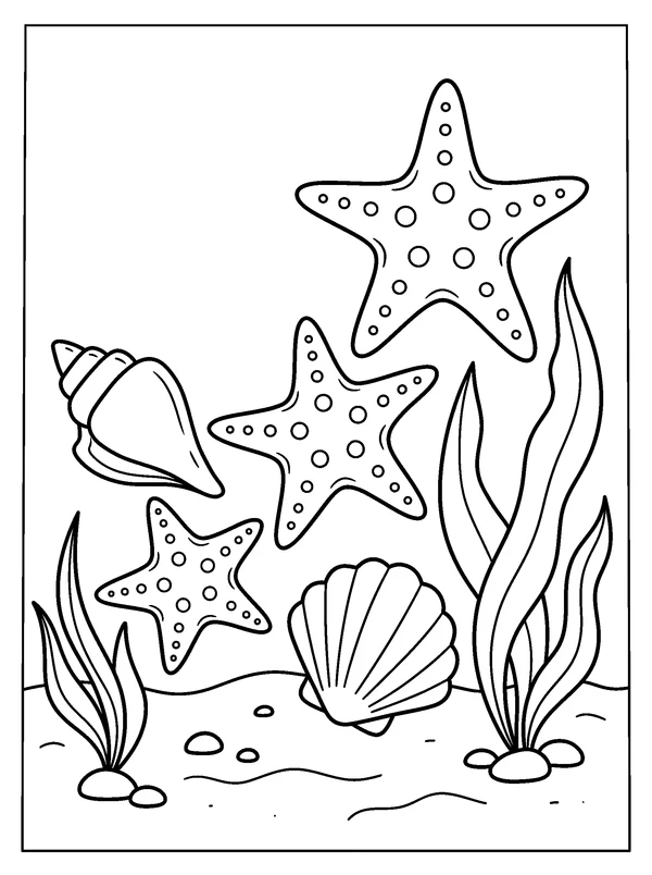 Starfish Shell Trail — printable black-and-white coloring sheet