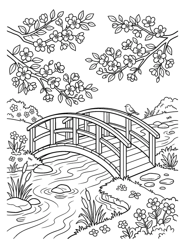 Footbridge Beneath Cherry Blossoms — printable black-and-white coloring sheet