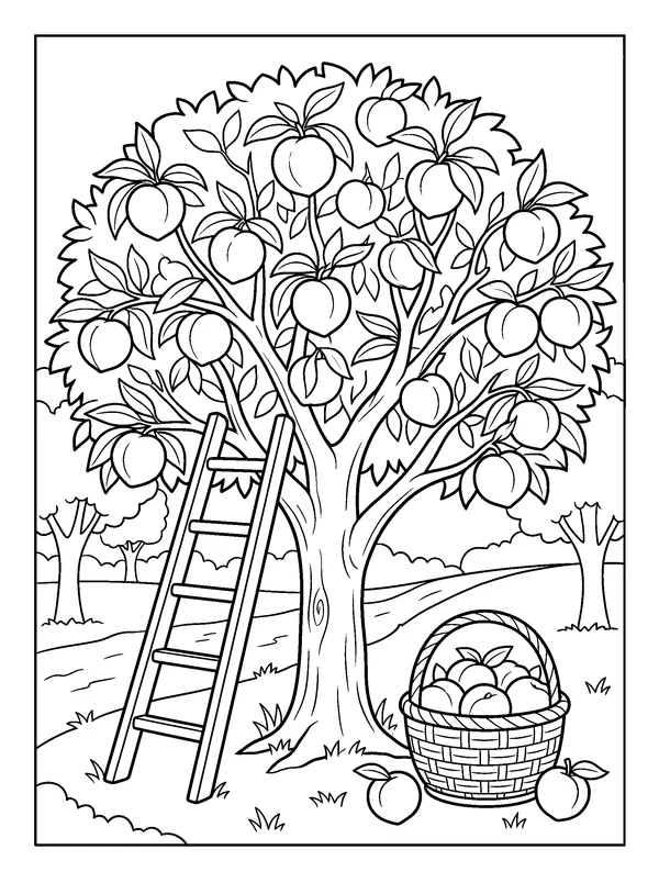 Peach Harvest in the Orchard — printable black-and-white coloring sheet