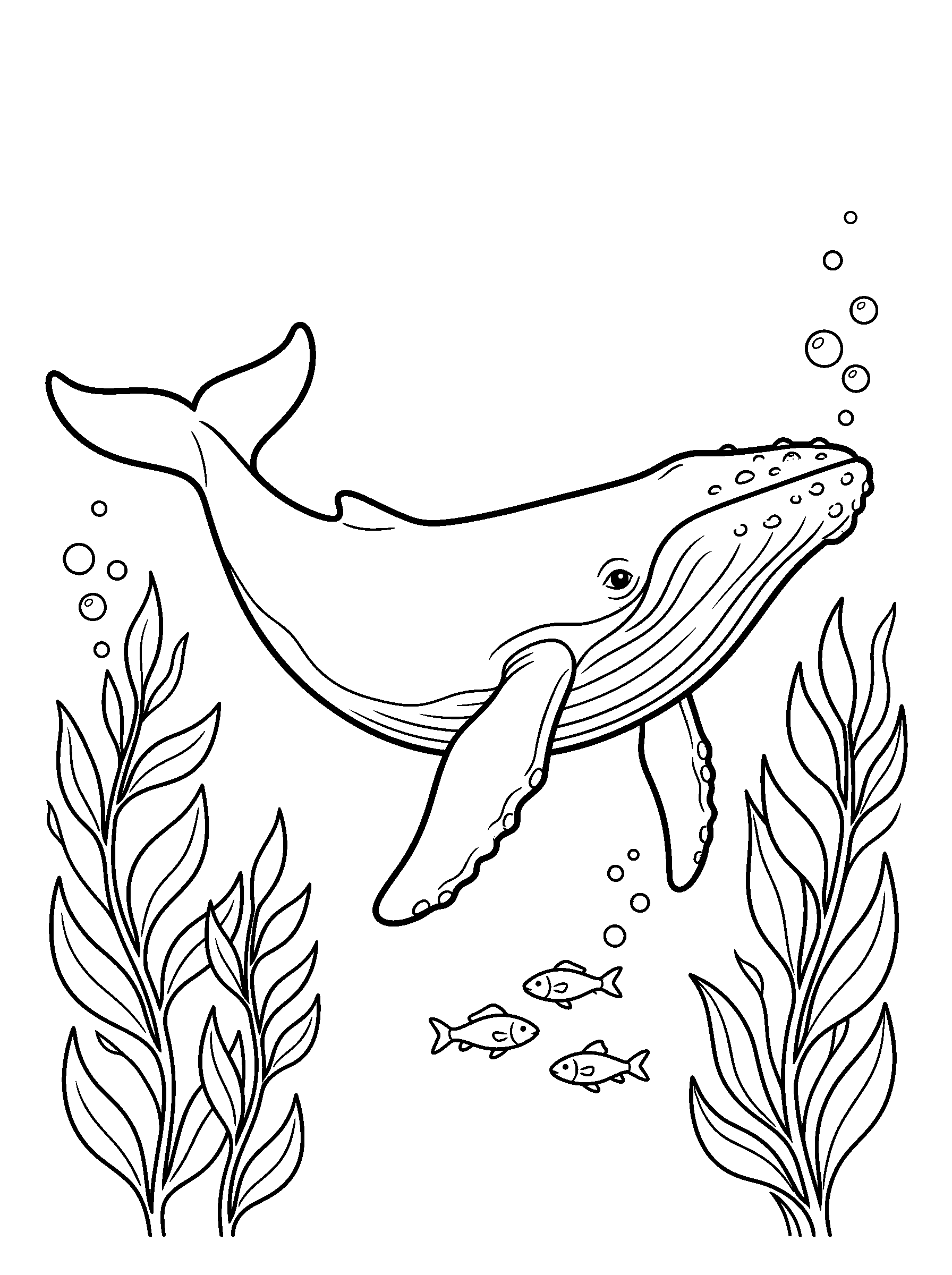 Whale Underwater — full black-and-white printable coloring page