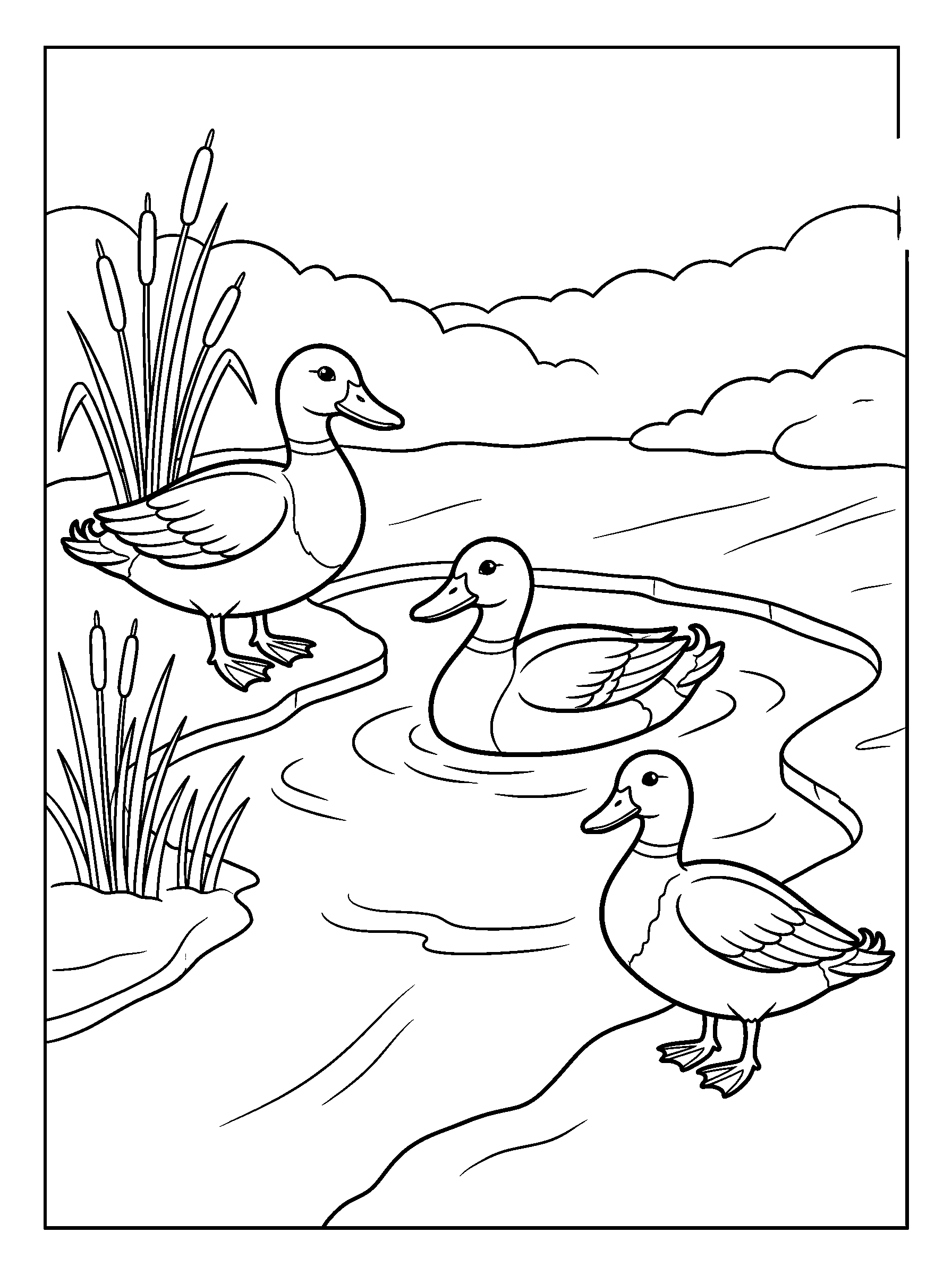 Ducks at the Unfrozen Pond — full black-and-white printable coloring page