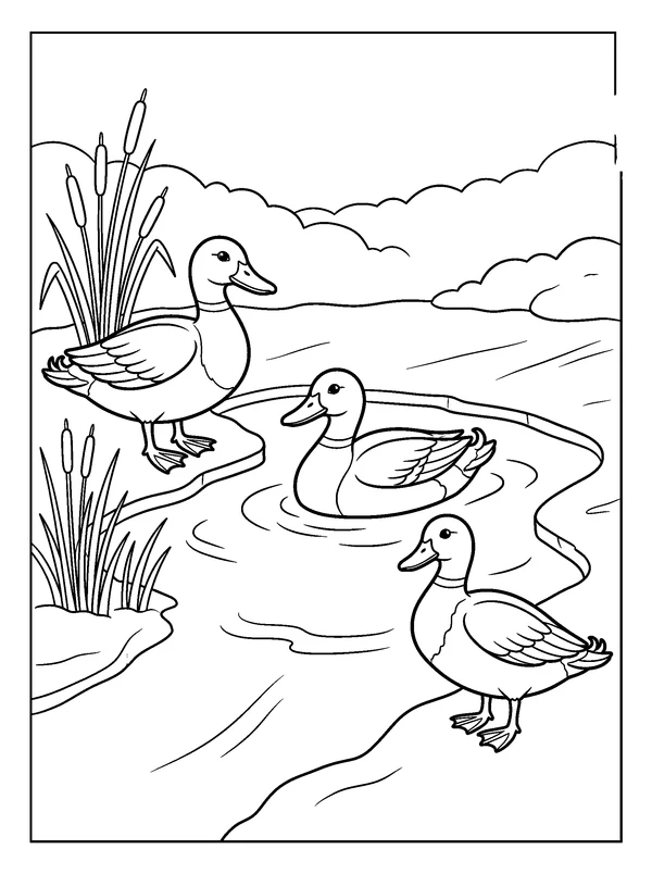 Ducks at the Unfrozen Pond — printable black-and-white coloring sheet