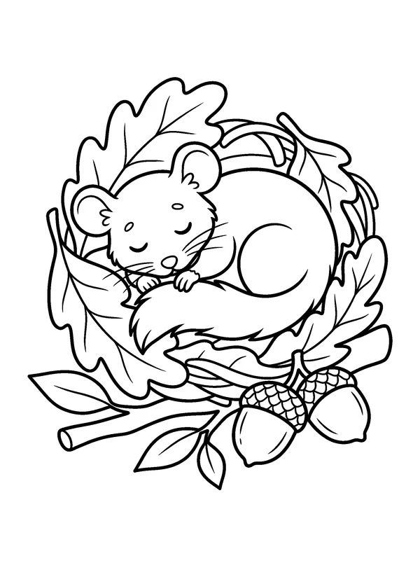 Dormouse in an Oak Leaf Nest — printable black-and-white coloring sheet