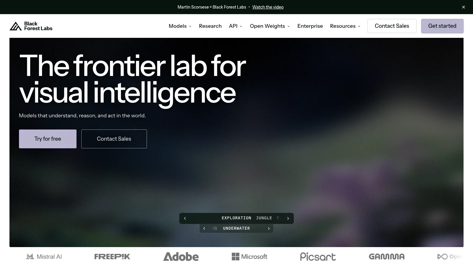FLUX.1 official website screenshot